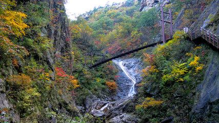 Autumn scene at Seoraksan-ro Seorak National Park, Sokcho South Korea.