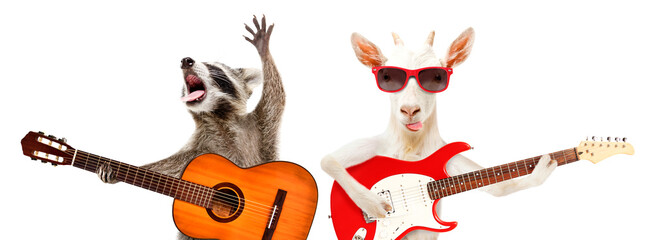 Funny raccoon with acoustic guitar and goat with electric guitar isolated on white background