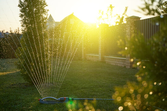 Sprayer pours water on the lawn against the backdrop of summer sunset