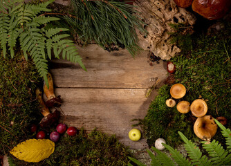 Natural decorative frame of green moss, mushrooms, leaves of a fern on aged wooden background.