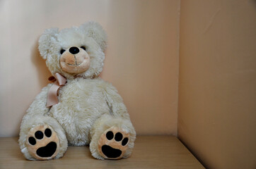 Cute White Teddy Bear in Children's Room