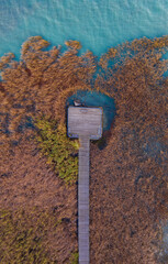 Balatonfuzfo, Hungary - Aerial top down view of beautiful reeds formation with pier and crystal...