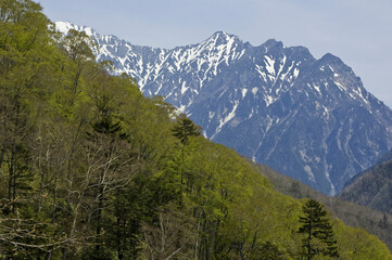 新緑の安房峠から穂高連峰を臨む