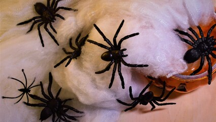 Scary background, panic spiders around, cobwebs and halloween pumpkin, representing the famous holiday in October
