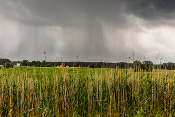 burza nad łąką