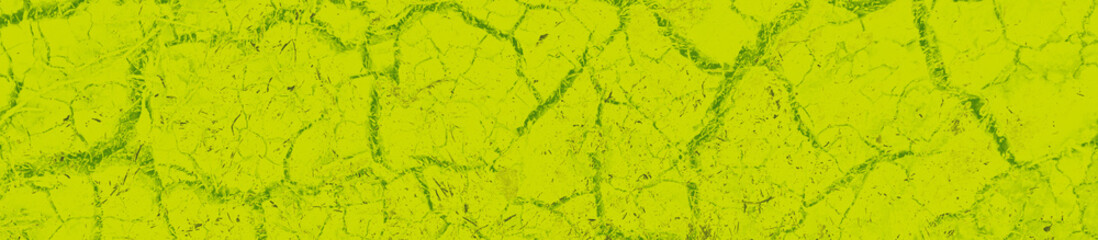 abstract lime and green colors background for design