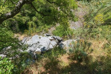 landscape with abundant vegetation in southern Spain