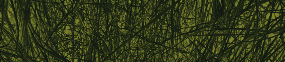 abstract black and dark green colors background for design