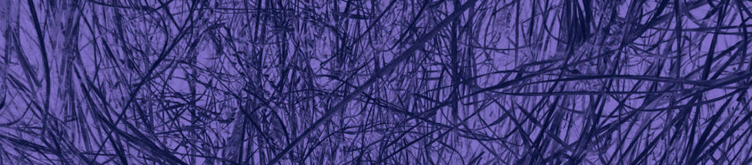 abstract black and violet colors background for design