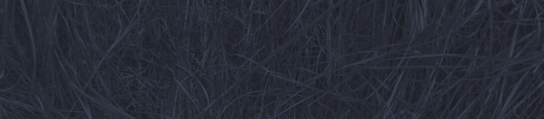 abstract dark grey and blue colors background for design