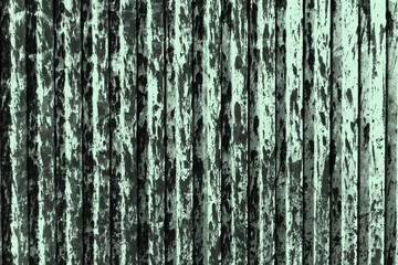 abstract black and light green colors background for design