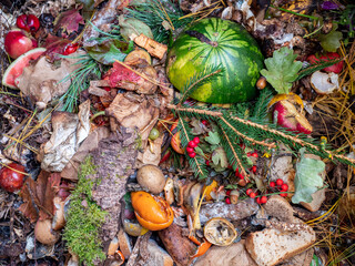 Biomüll Kompost im Garten