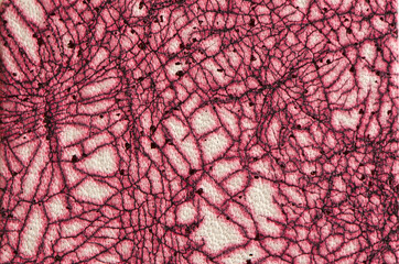 Abstract pattern on leather