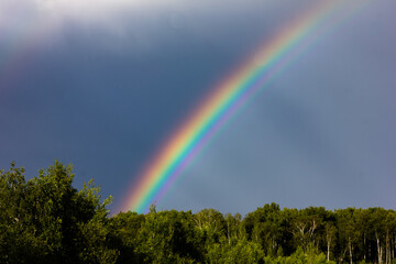 Rainbow over the summer mixed forest, cloudy sky and clear rainbow colors, forest road. Natural landscape. Rainbow colors after rain. Rain clouds.