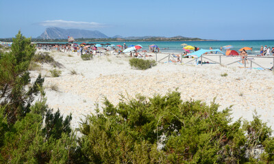 Italy / Sardinia – July 13, 2020: Brandinchi beach in Sardinia is wonderful for the color of the water and for the view of the very high island of Tavolara.