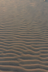 waves on sand