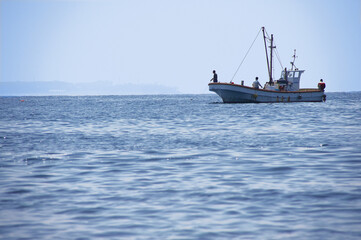 神奈川県三浦郡で楽しむ「正一丸」の釣り体験 – 釣りと魚の魅力を満喫