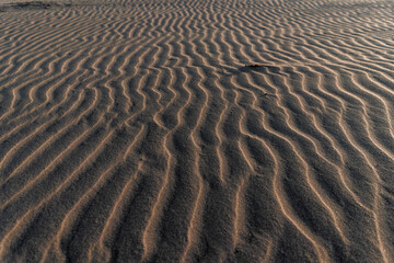 sand ripples on the beach