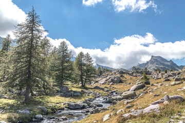 Paysage de montagne dans les Alpes et le parc du Mercantour