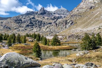 Fototapeta na wymiar Paysage de montagne dans les Alpes et le parc du Mercantour
