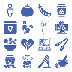 16 pack of speech bubble  filled web icons set