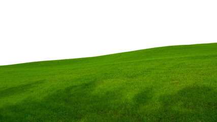 grüner Rasenhügel vor weißem Hintergrund 