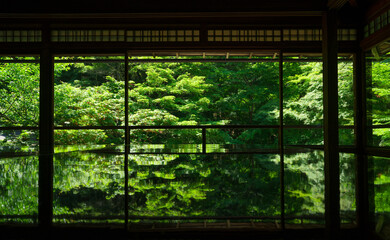 京都　瑠璃光院の新緑
