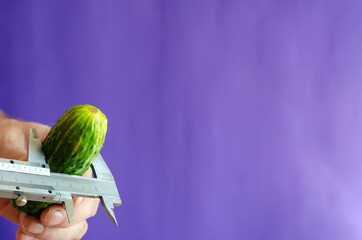 Green cucumber in hand with caliper against blue background.