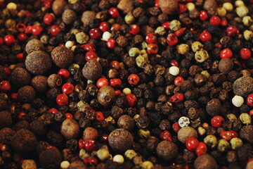 Spices closeup