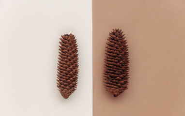 Pine cones on a brown-beige background. Top view