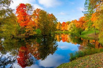Alexander park in autumn, Pushkin (Tsarskoe Selo), Saint Petersburg, Russia