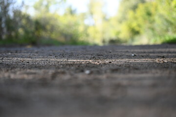 tire track