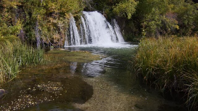 Waterfall flowing through thick forest oasis in Pine Creek Wyoming.