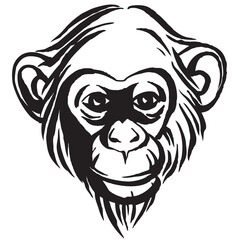 Hand drawn portrait of  monkey chimpanzee. Black and white