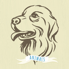 Hand drawn portrait of dog labrador
