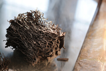 Termite nest sculpture in wood. Selective focus