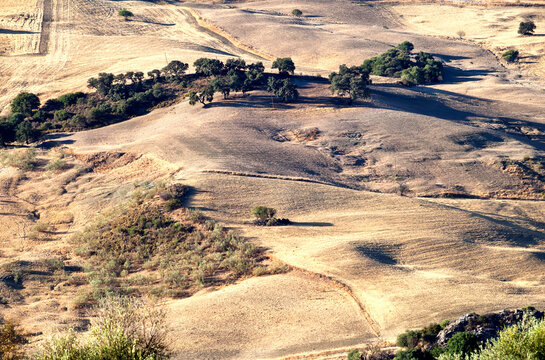  typical rural landscape in Andalusia
