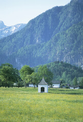 Obraz premium 草原の小屋