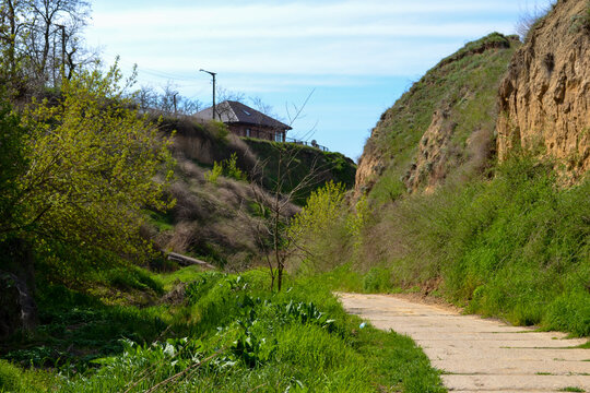 Rural road to the wild beach on the Black sea shore in the Ochakov (Ochakiv) resort in Ukraine