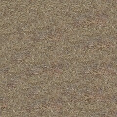 Dry grass texture