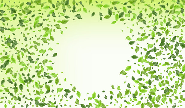 Mint Leaves Swirl Green Background Design. 