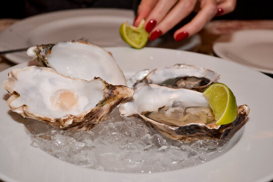 "Oysters Shell" Images – Browse 152 Stock Photos, Vectors, and Video ...