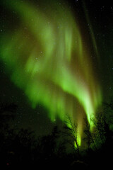 カナダ／イエローナイフのオーロラ