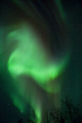 カナダ／イエローナイフのオーロラ