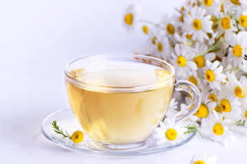Cup of hot herbal tea with chamomile flowers against a light background.