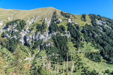 Paysage de montagne dans le Mercantour