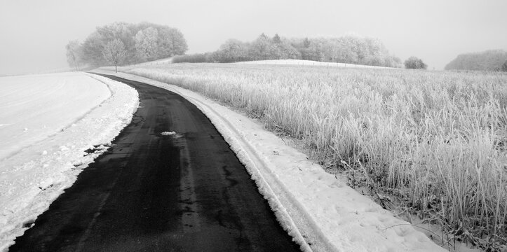 Country road in a winter landscape