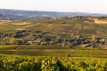 Les vignobles de Bourgogne
