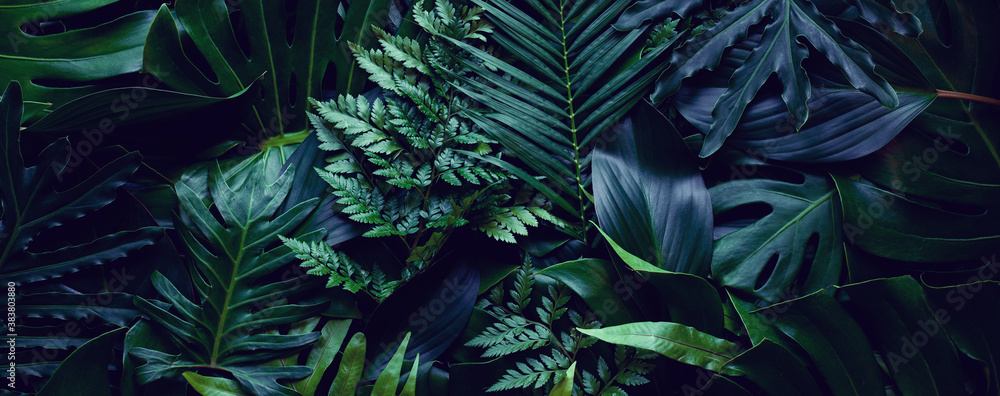 Wall mural closeup tropical green leaf background. flat lay, fresh wallpaper banner concept