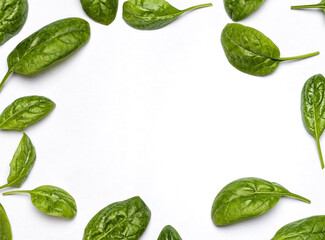 Frame from spinach leaves on a white background. Spinach leaf isolated background. Creative food concept